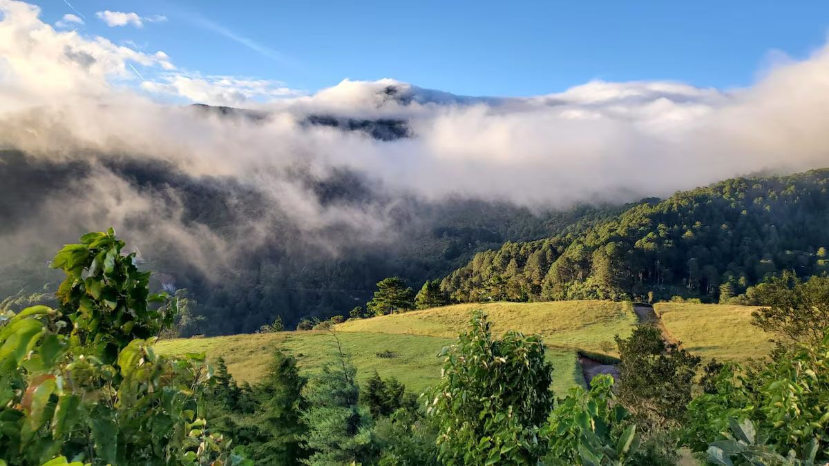 Гора Монте-Кристо (Montecristo Mountain)